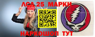 гидра Славгород