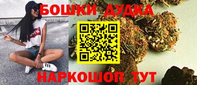 гидра Славгород