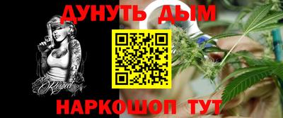 гидра Славгород