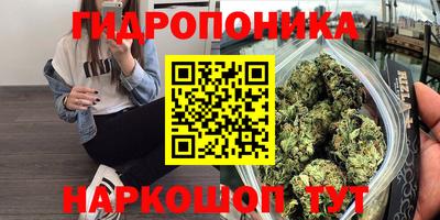 крисы Славянск-на-Кубани