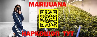 гидра Славгород