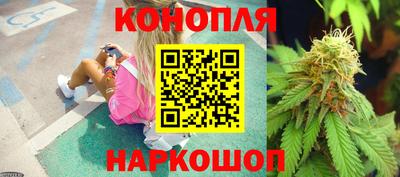 гидра Славгород