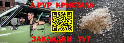 гидра Славгород
